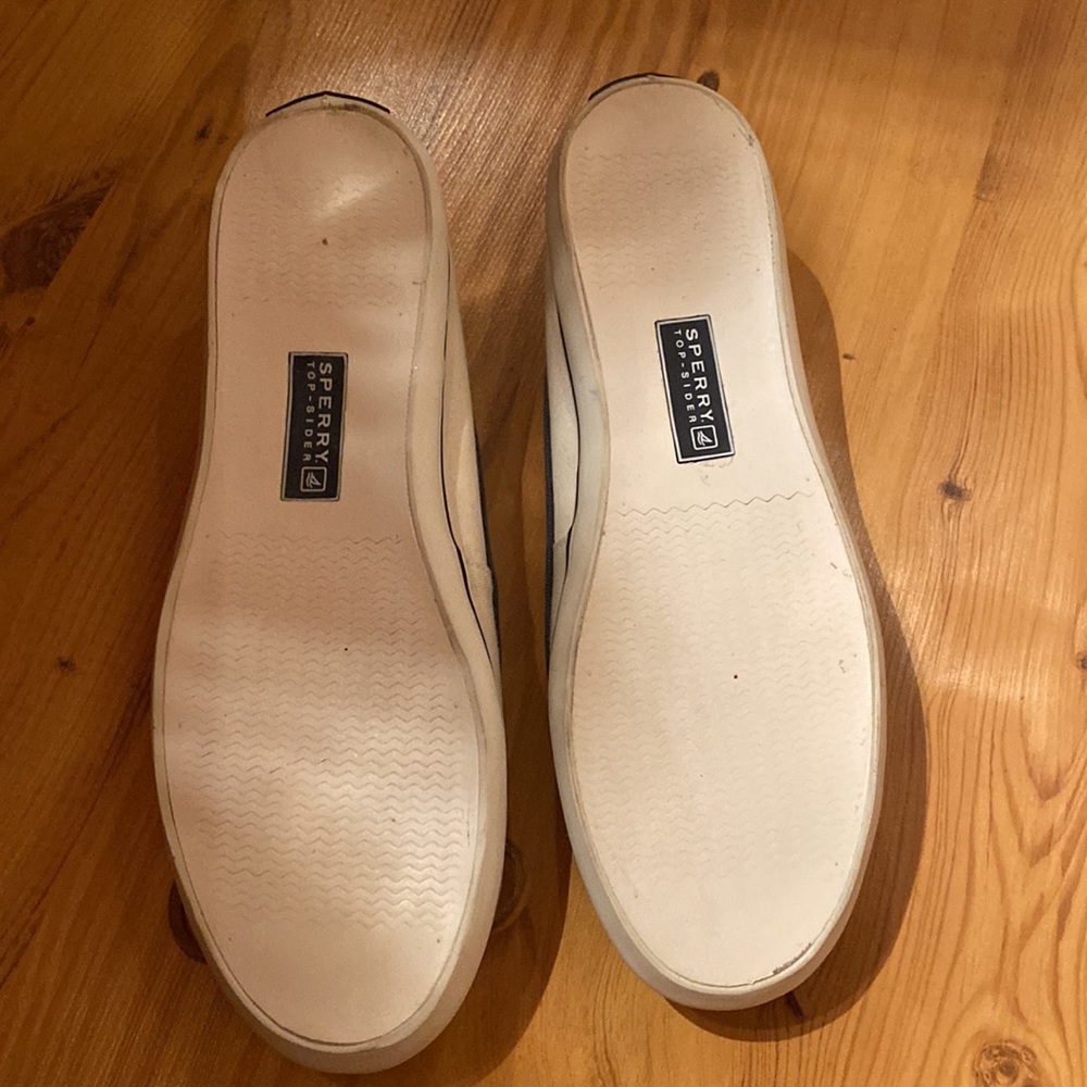 Sperry Boat Shows - Picture 2 of 4